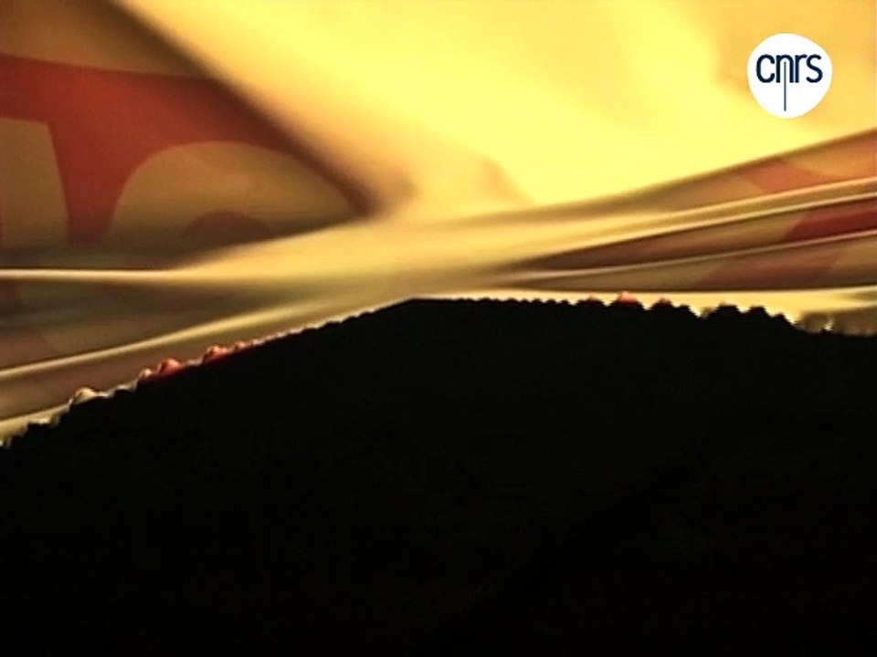 Décryptage d'une image de science : le sac plastique déchiré