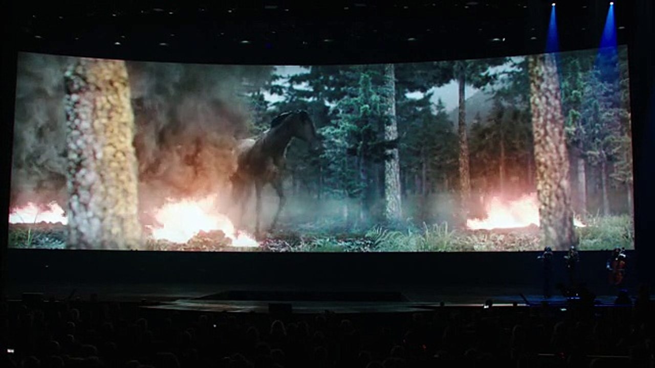 Shania Twain - You're Still the One ( Live feat smart horse )