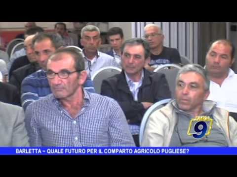 BARLETTA | Quale futuro per il comparto agricolo pugliese?