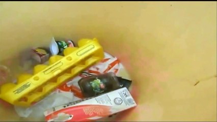 The Mouse Killed Himself Dude