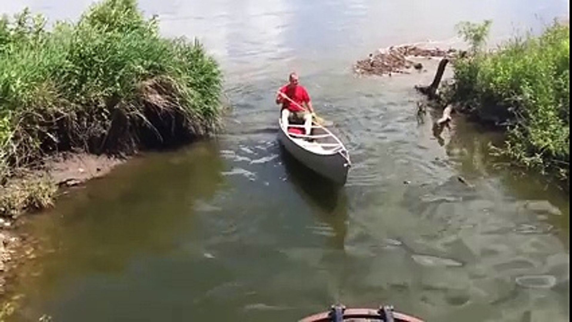⁣River Fish Alot