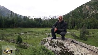 Fairy Meadows