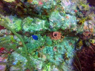 test-vid-tubemogul-pvfeed