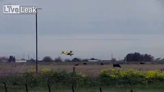 Bi-Plane Flying Ag Pilot Fails to Scare the Crop Out of Cows While Spraying (part 2 of 2) ((Volume Warning))