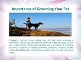 Importance of Pet Grooming by Naperville Animal Hospital