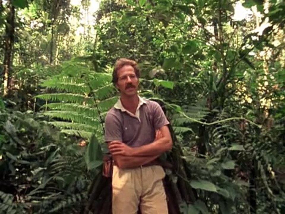 Werner Herzog on the harmony of the jungle
