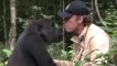 El emocionante reencuentro entre un gorila y su cuidador