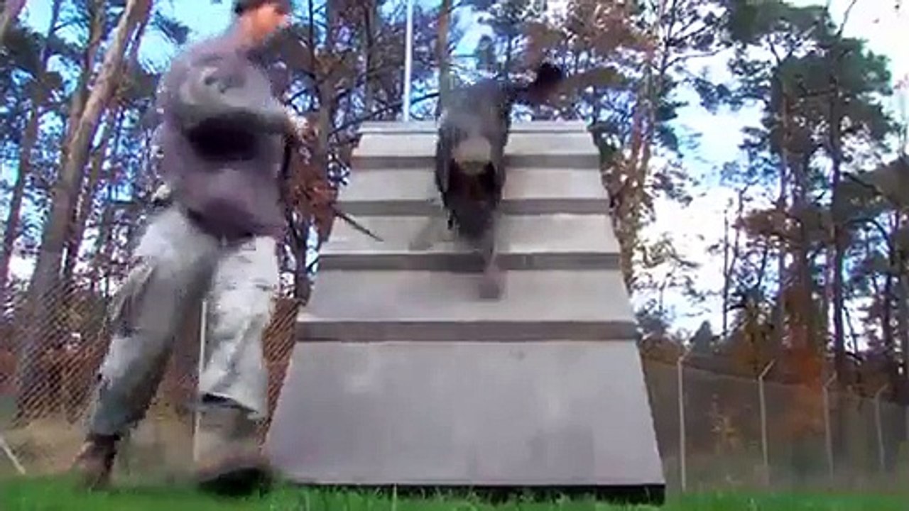 The Best Fail Compilation 2014