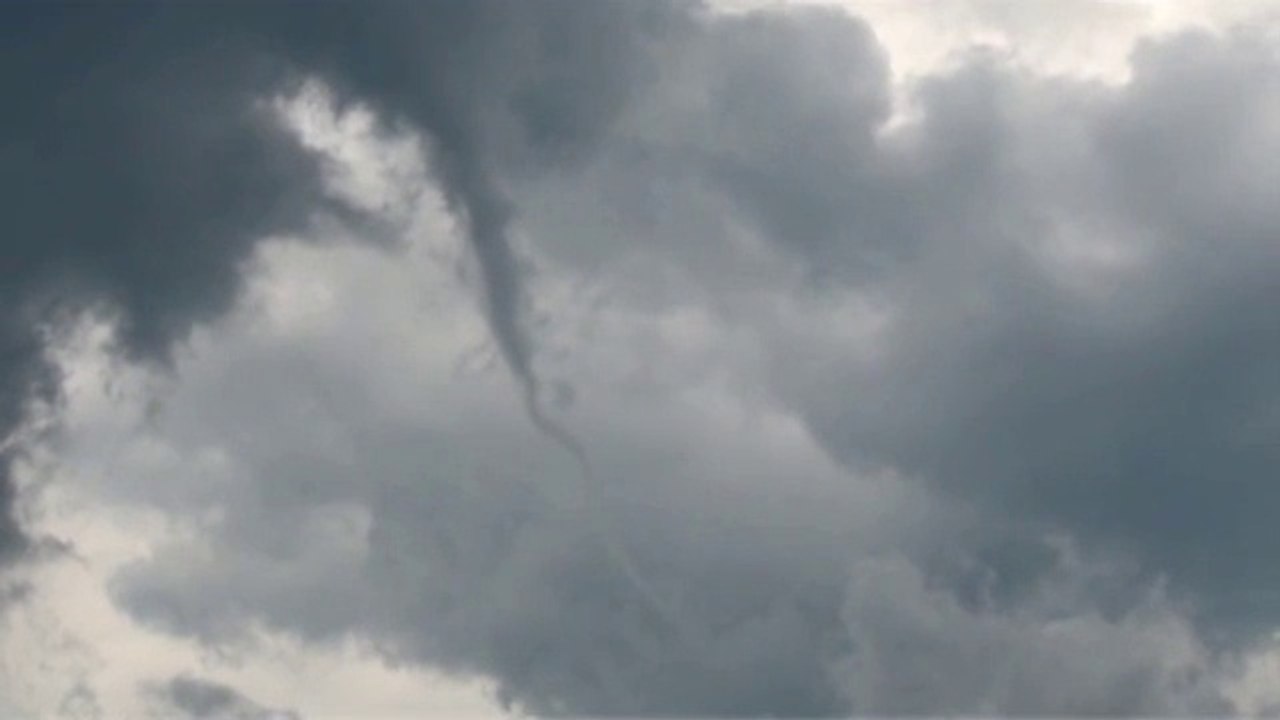 Observation d'un tuba en Meuse (5 juillet 2012)