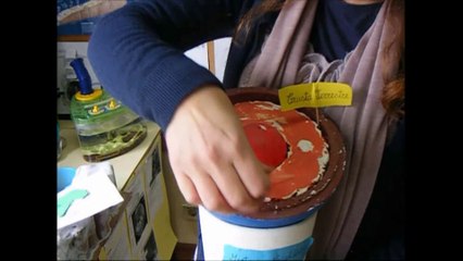 Science on Stage: Meet our Neighbours