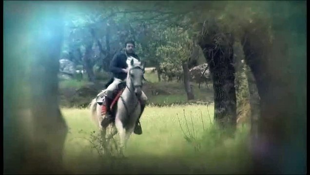 bosco y berta capitulo 1169