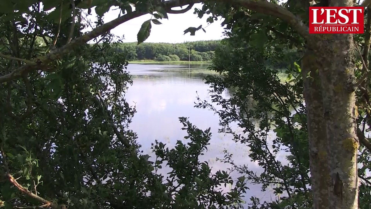Région Lorraine Champagne Ardenne : Une grande région humide
