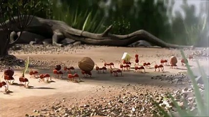 Its smarter to travel in a group