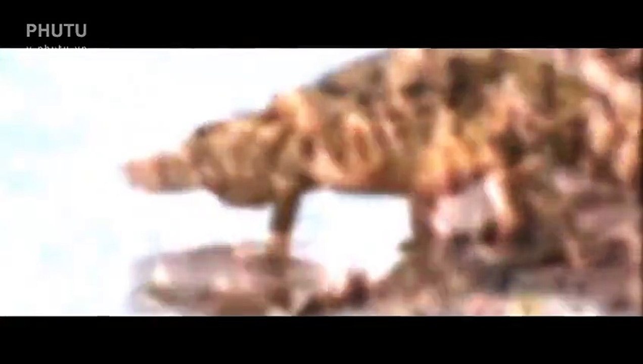 Alligator Attack Herd of Buffalo crossing the River