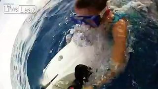 Extreme Dolphin Experience - GoPro