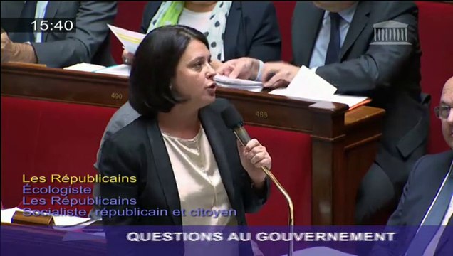 Logements sociaux : S. Pinel répond à une question d'actualité au Gouvernement