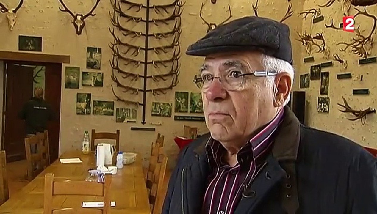 À la découverte du brame des cerfs