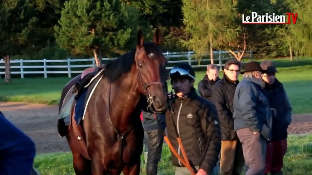 Prix de l'Arc de Triomphe : Trêve prête pour un triplé historique