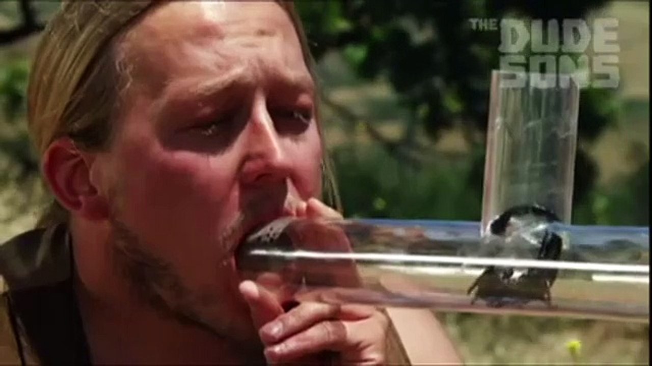 Bu çılgınlığı mideniz kaldırmayabilir
