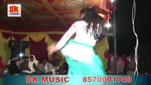 NEW HARYANVI SAPNA RAGNI DANCE NAGIN DANCE HI DANCE MERA NO DANDI KA BIJNA DK MUSIC FULL HD 2015