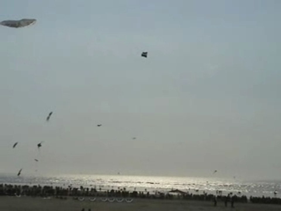 Cerf-volant Berck 2005 Element'air
