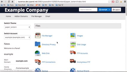 Cpanel Tutorials :: DNS Entries