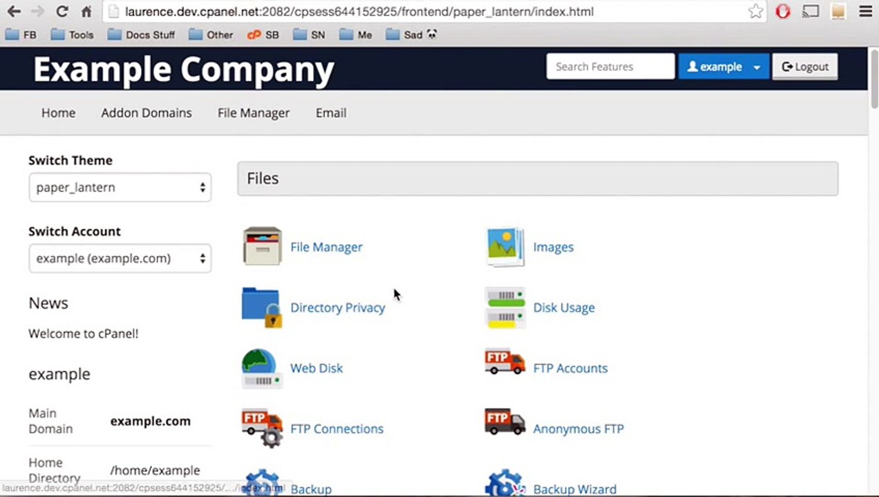 Cpanel Tutorials :: DNS Entries