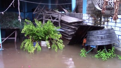 Tropical storm Marty leaves flooding and destruction in Acapulco
