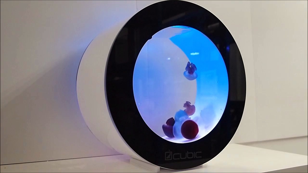 Cubic Orbit 20 Desktop Jellyfish Tank