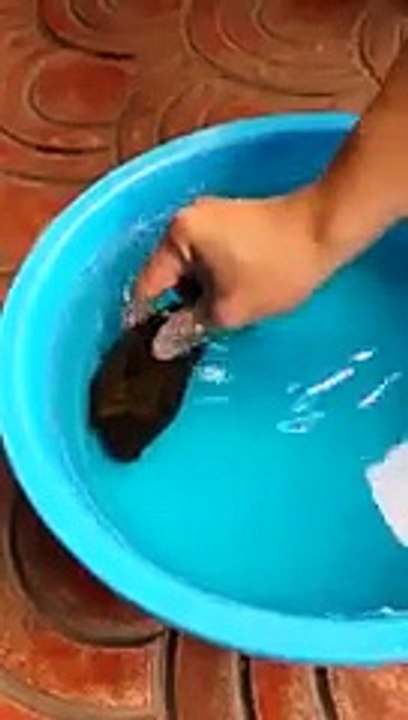 natural SUBHANALLAH