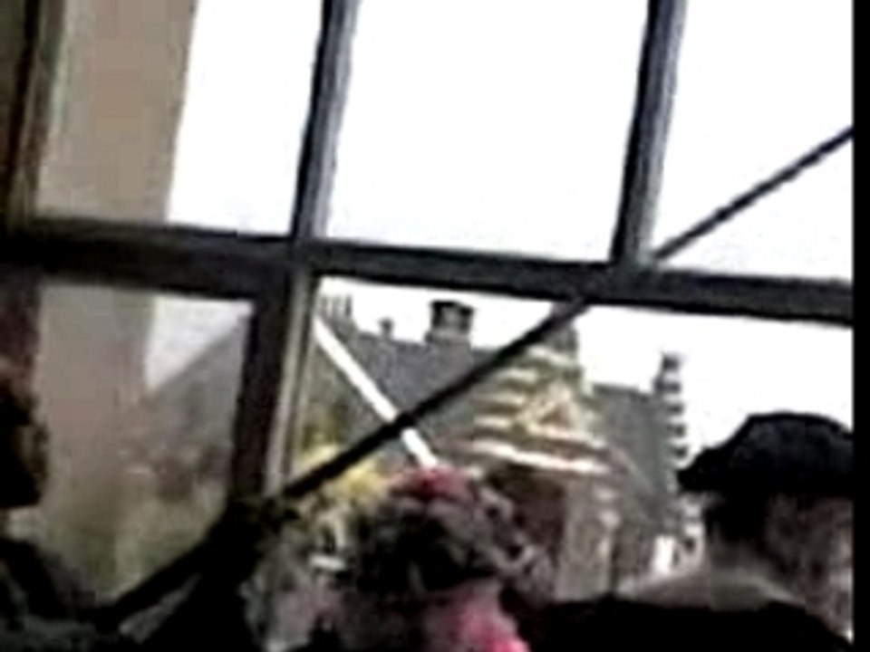 Jet du hareng 2
