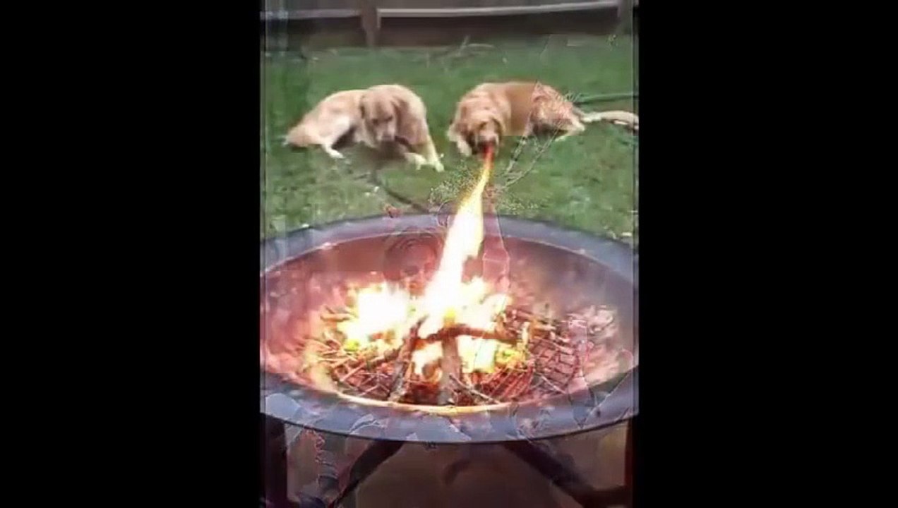 Right Moment Pics ▶ Oops ▶ Funny Fail Huge Compilation 2015✔