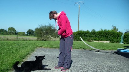 Oligane Puppy Class 2.0