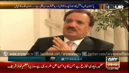 Malik terms Daesh presence in Pakistan an 'undeniable fact'