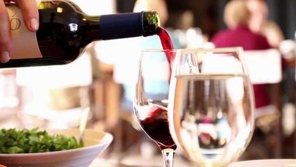 Dove Hunting in Argentina