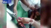 LiveLeak.com - Seven-year-old boy gets his head stuck in a pressure cooker
