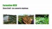 Formation Steve Groff - Couvert végétaux - part 8 - Introduction d’animaux dans les couverts - Semis direct bio - Profondeur de semis