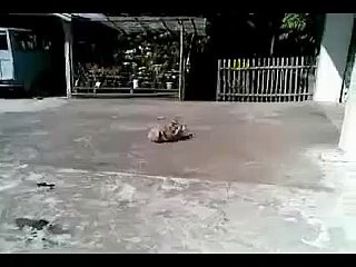 Это что-то ужасное!!!