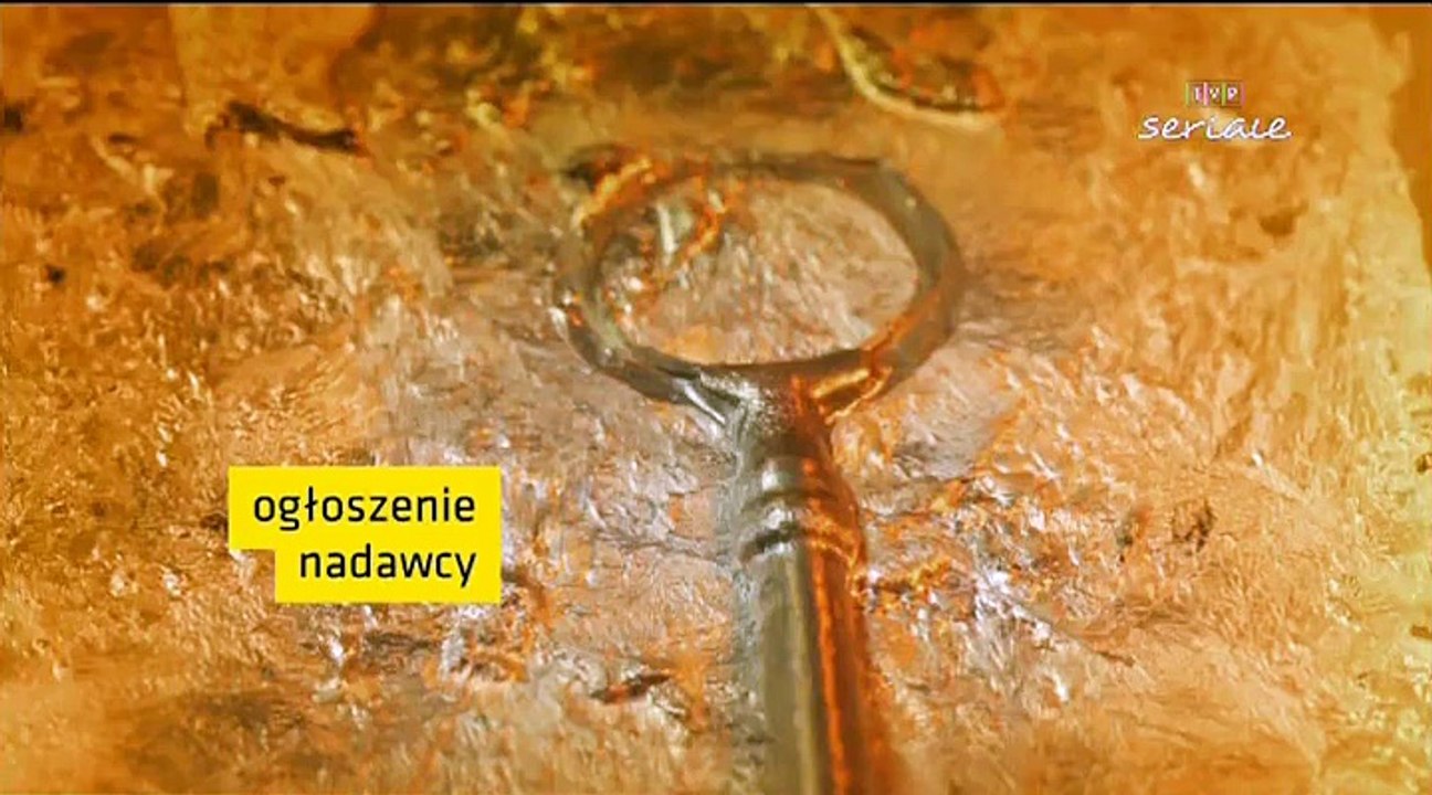 Pauza TVP Seriale