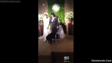 Download Video: MI PERRO EN MI BODA ANIMALES Y MASCOTAS MATRIMONIO CON SU MEJOR AMIGO ASISTIENDO EN LA CEREMONIA RELIGIOSA SEPTIEMBRE 2015