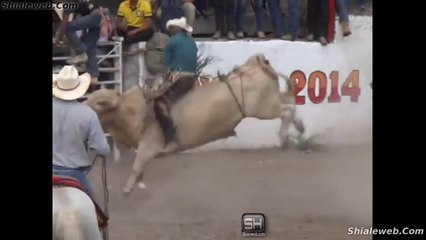 SUPER JARIPEO EXTREMO EN LA NORIA OAXACA MEXICO PARTE DOS JINETES PROFESIONALES MONTAN TOROS SALVAJES LOCALES LOGRANDO BUENAS MONTAS SEPTIEMBRE 2015