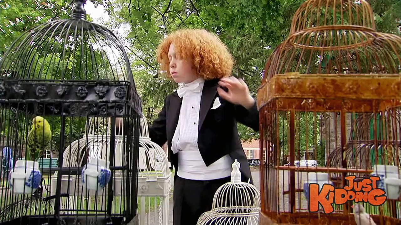 Animal Concerto Just For Laughs Gag