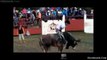 SUPER JARIPEO EXTREMO EN EL PASO DE GUADALUPE IXTLAHUACAN DEL RIO JALISCO MEXICO TOROS NEGROS PESADOS SON MONTADOS POR JINETES PROFESIONALES SEPTIEMBRE 2015