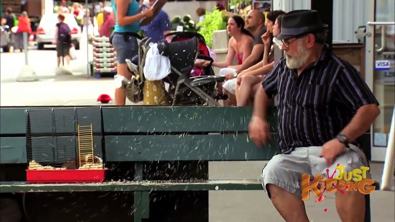 Farting Guinea Pig Just Kidding Hidden Camera Prank