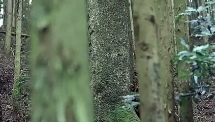 Ж바카라교육★★ξξ『ＬＰＧ８１５．ＣＯＭ』ξξ★★바카라교육Ж