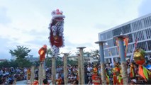 Top 1 Lion Dance Viet Nam || Vương Anh Đường giải nhất 2015