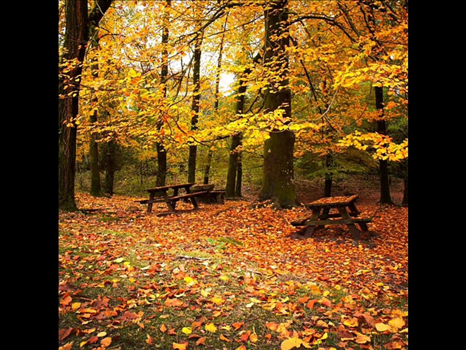 When The Leaves Bid The Trees Good-Bye-Victor Young