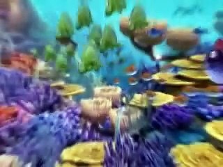 Happy Fish - Hai-Alarm und frische Fische