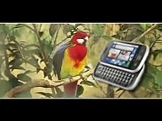 Malayalam Islamic Songs for Kids by MSM BALAVEDI