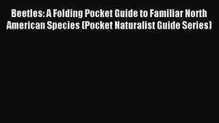 Beetles: A Folding Pocket Guide to Familiar North American Species (Pocket Naturalist Guide